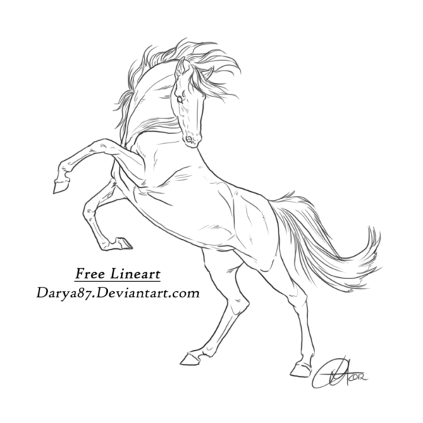 Конь скачет рисунок