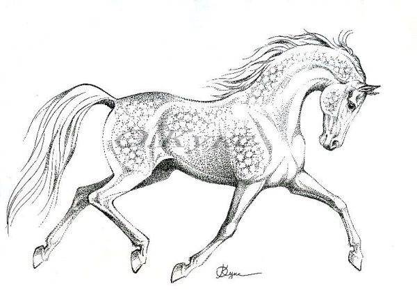Раскраска. Лошадка