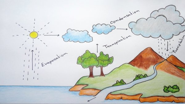 Water Cycle diagram