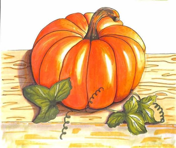 Тыква рисунок