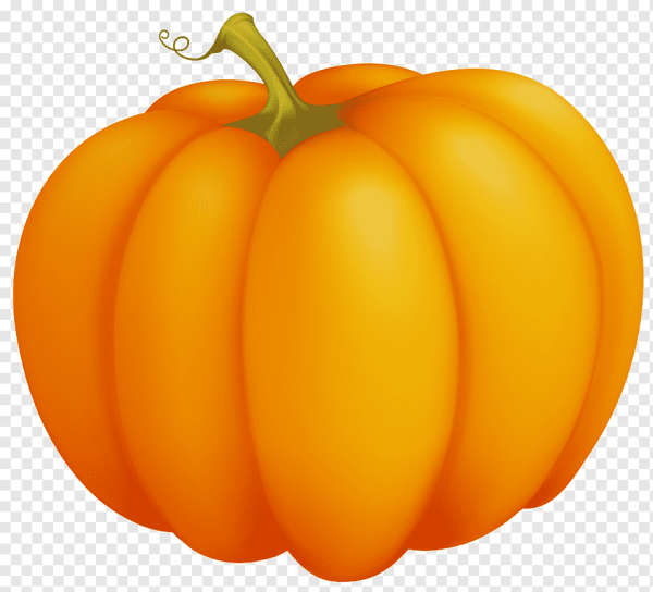 Тыква для детей