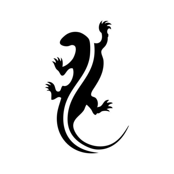 Саламандра тату эскизы