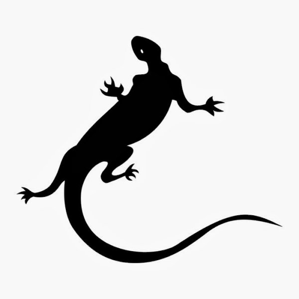 Саламандра тату эскизы