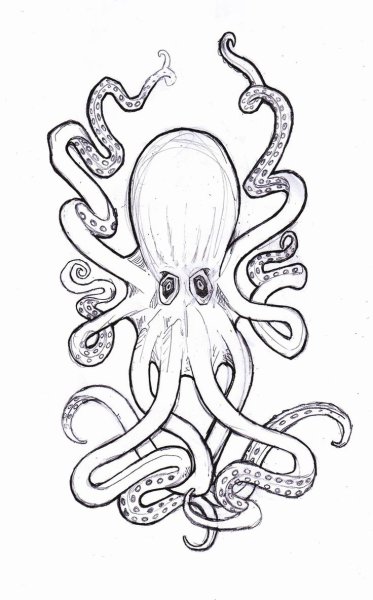 Тату осьминог Кракен