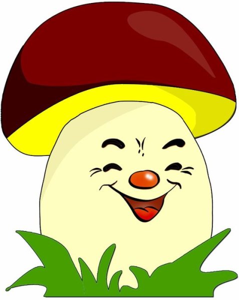 Грибы на прозрачном фоне