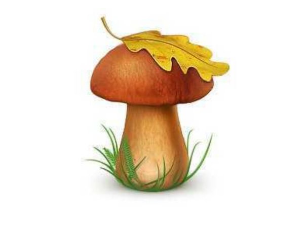 Милые грибочки