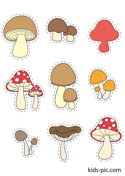 Грибочки раскраска для детей