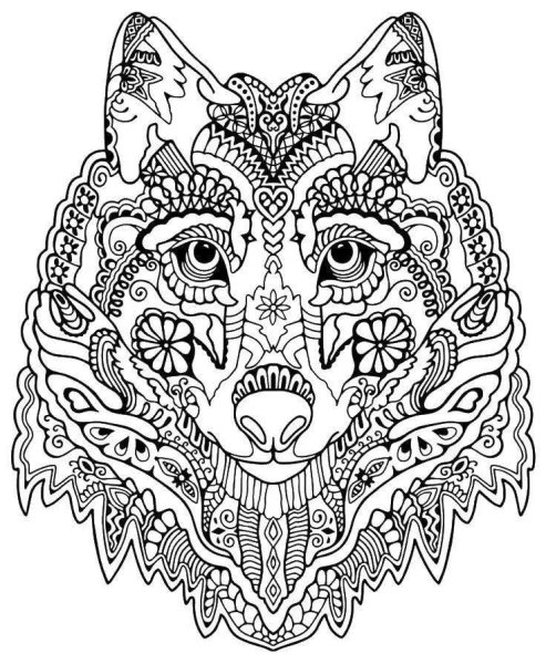 Раскраска антистресс