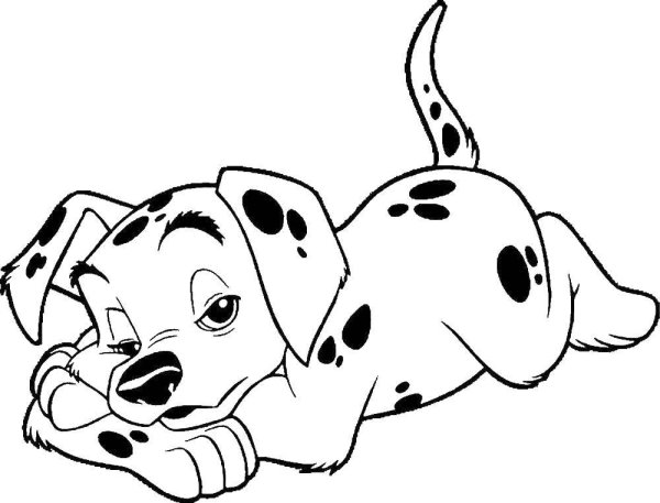 101 Далматинец собаки