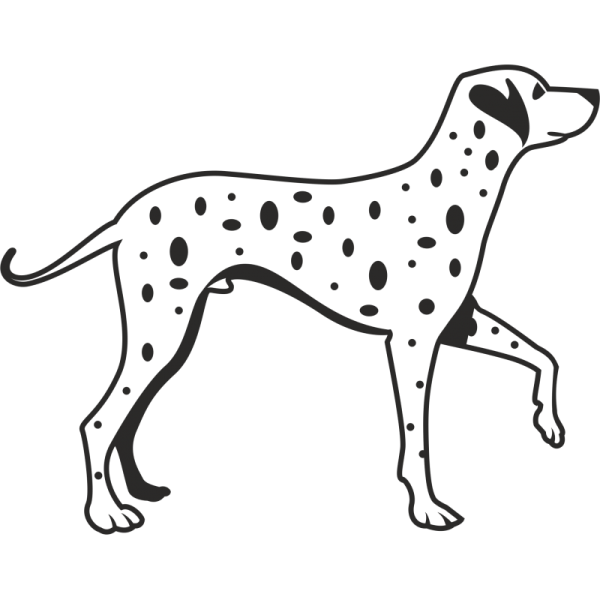 Далматинец вектор