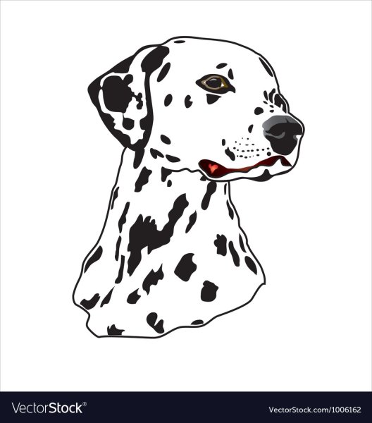 Далматин вектор