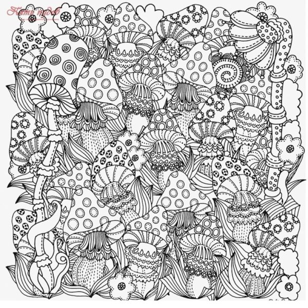 Раскраска антистресс