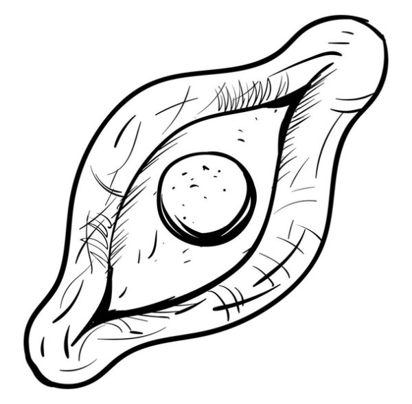 Хачапури по аджарски вектор