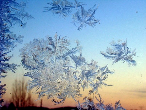 Зимние узоры природы