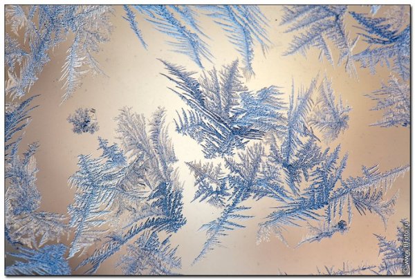 Картина зимние узоры