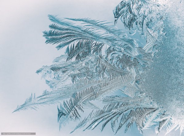 Морозные узоры на белом фоне