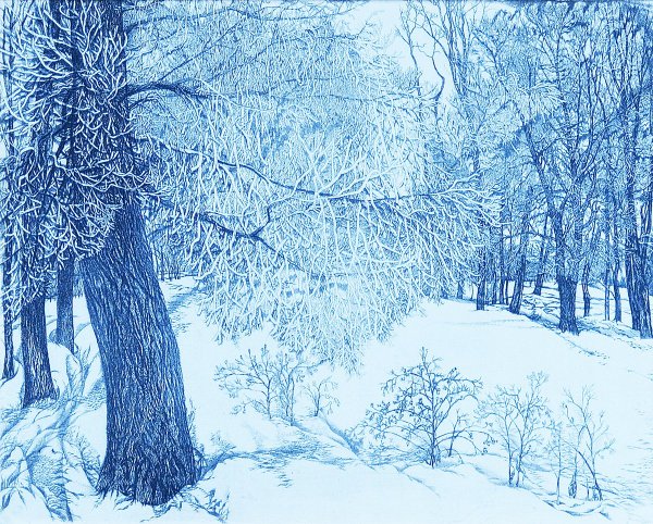 Заснеженная ветка