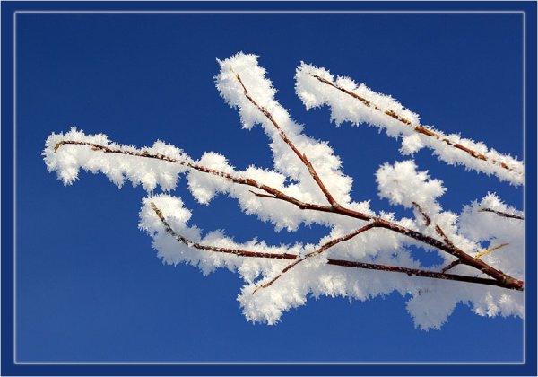 Зимние узоры