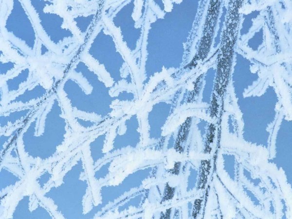 Морозные узоры