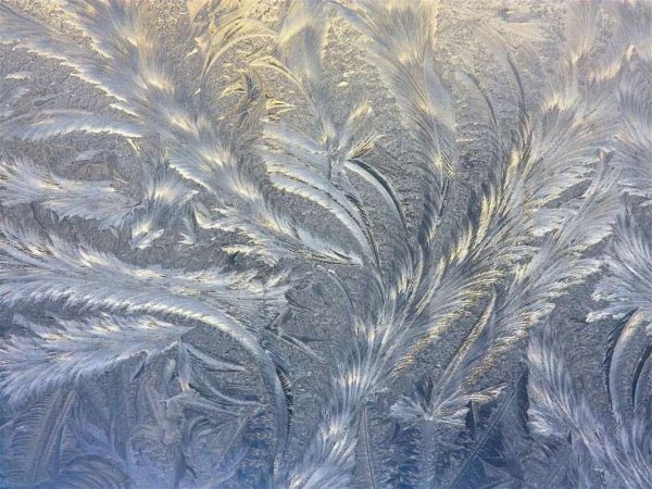 Морозные узоры