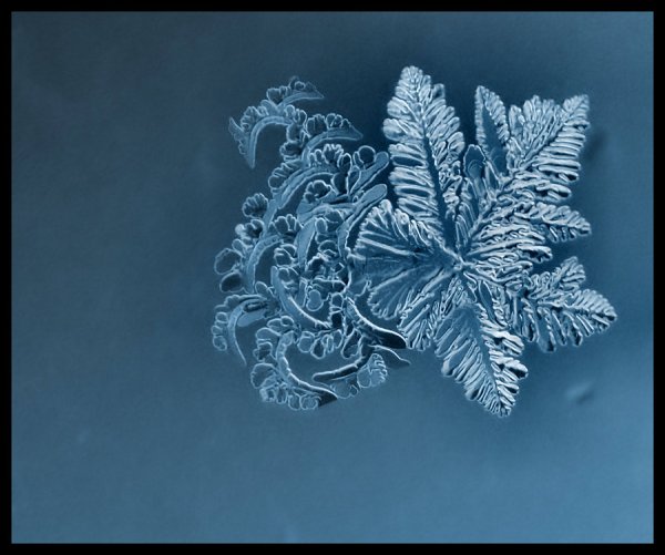 Зима на прозрачном фоне