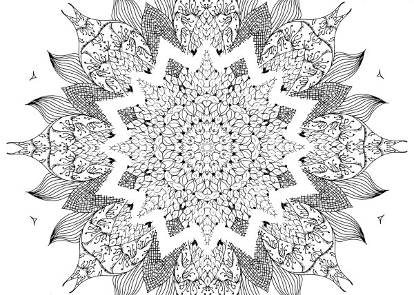 Жар птица антистресс