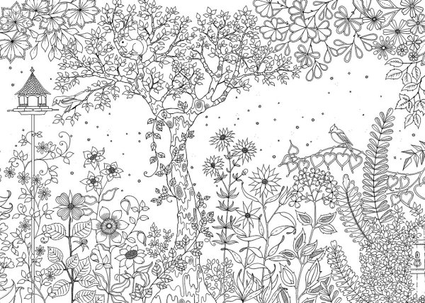 Разукрашки для взрослых