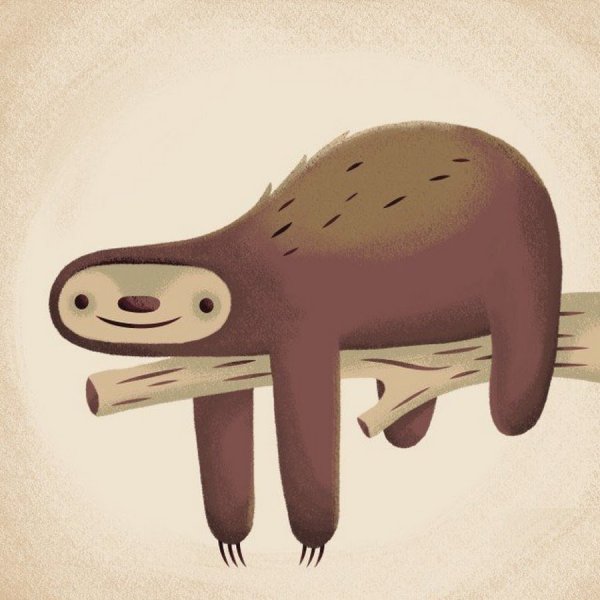 Лень животное