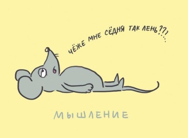 Мышь ленится