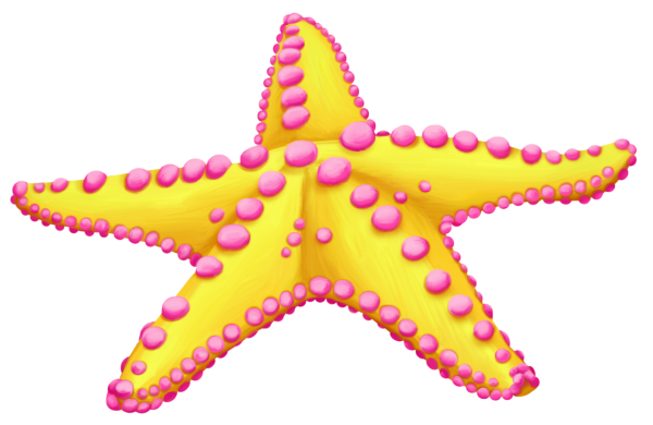 Голубая морская звезда