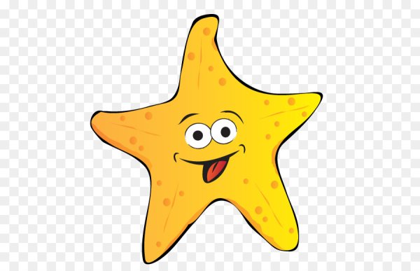 Морская звезда для детей