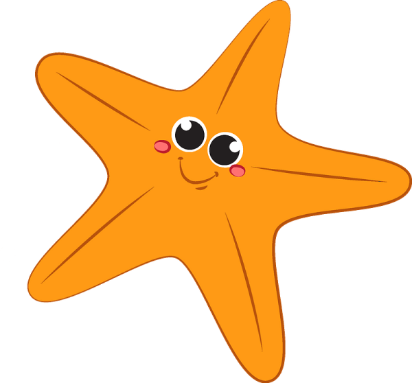 Морская звезда на белом фоне