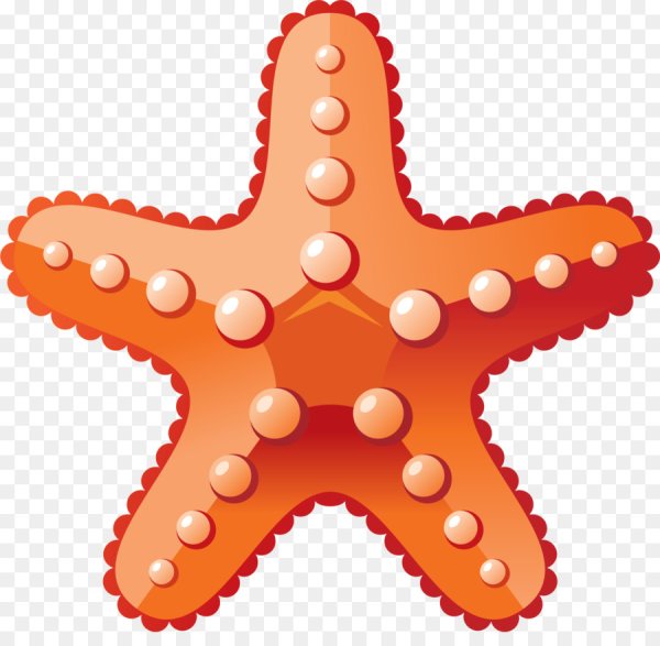 Морская звезда вектор