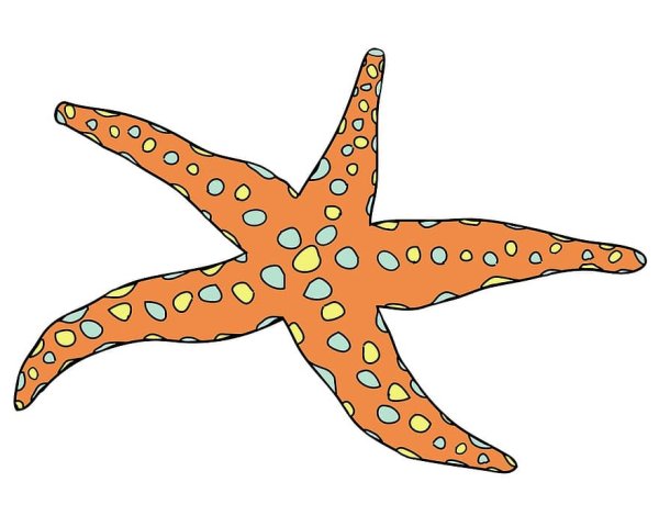 Морская звезда мультяшная