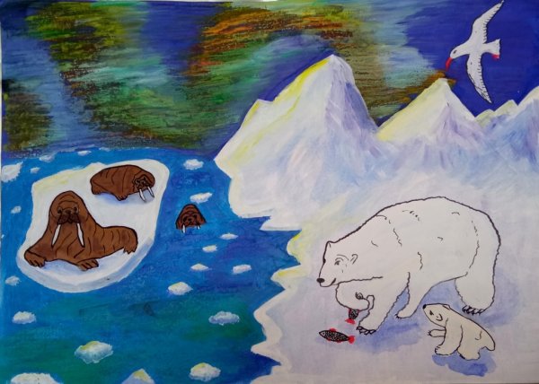 Арктика рисунок