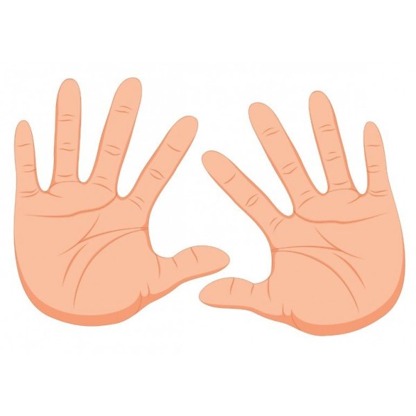 Ладонь рисунок