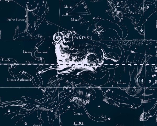 Атлас Гевелия Овен