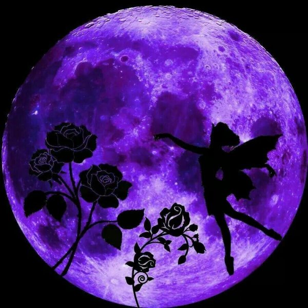 Сиреневая Луна
