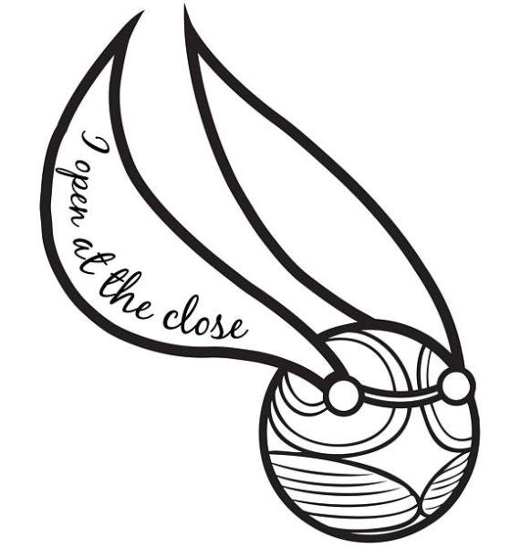 Раскраска Гарри Поттер снитч