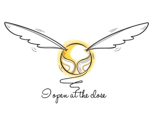 Раскраска Гарри Поттер снитч