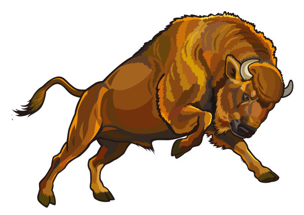 Бизоны мультяшные