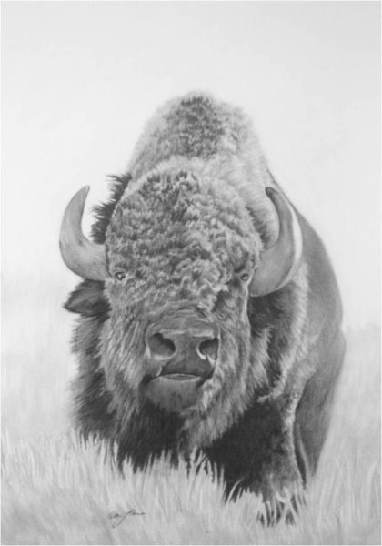 ЗУБР Белоруссия живопись