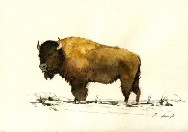 Бизон Бодмер картины