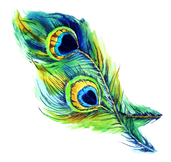 Перья Жар-птицы