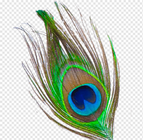 Павлинье перо Кришны