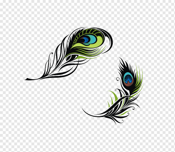 Перо павлина орнамент