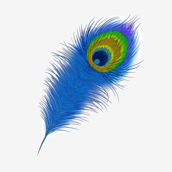 Перо павлина синий вектор