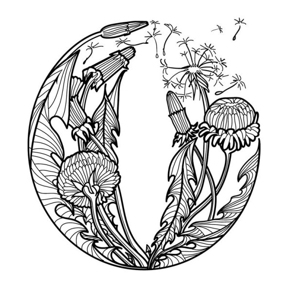 Стилизация растений в круге