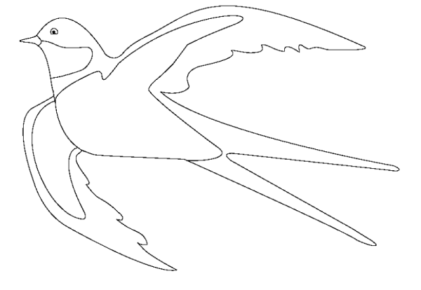 Ласточка Перелетная птица