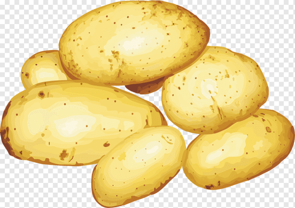 Картошка для детей